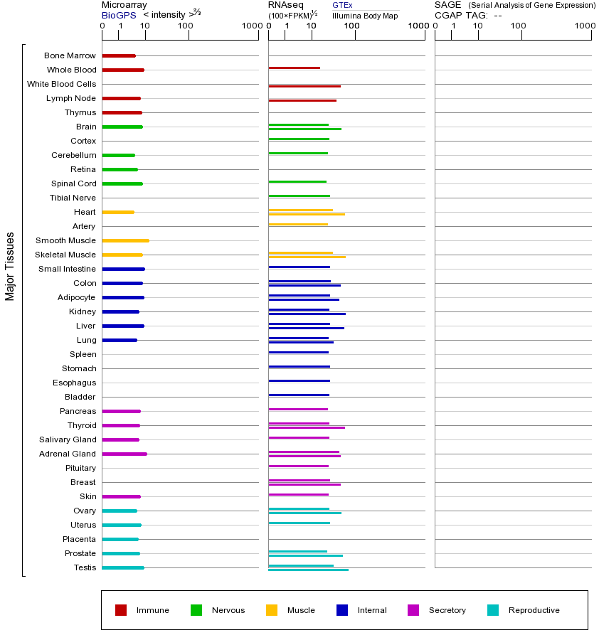 基因在不同组织中的表达图