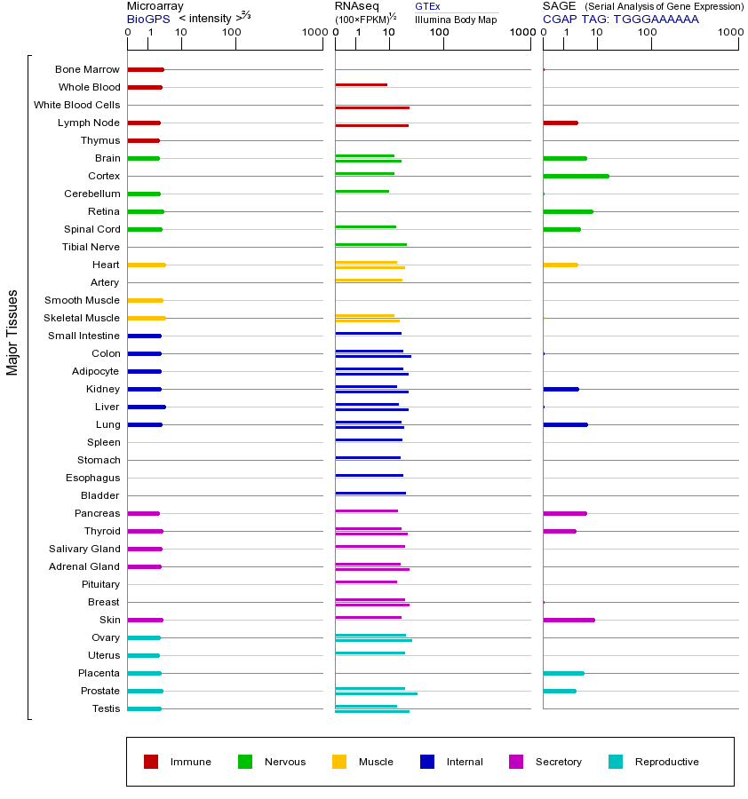 基因在不同组织中的表达图