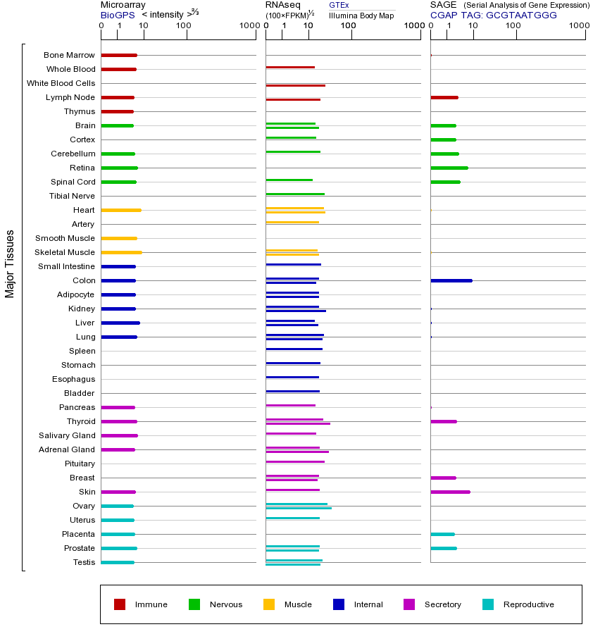 基因在不同组织中的表达图