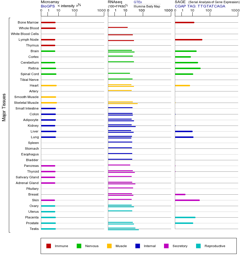 基因在不同组织中的表达图