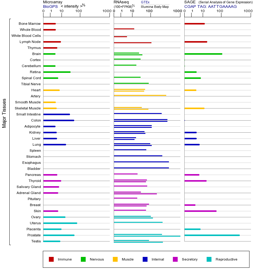 基因在不同组织中的表达图