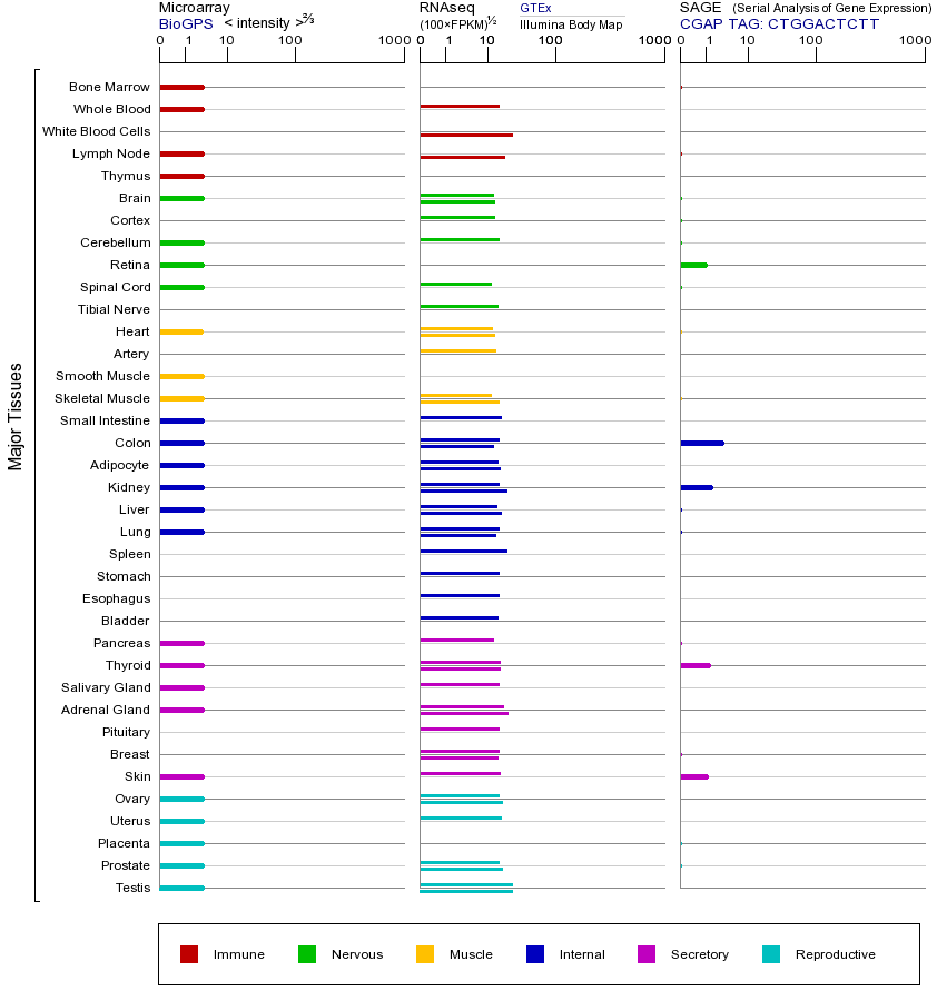 基因在不同组织中的表达图