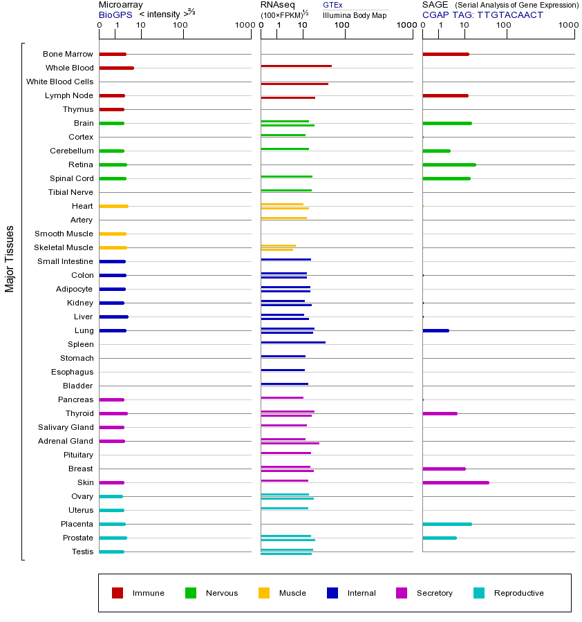 基因在不同组织中的表达图
