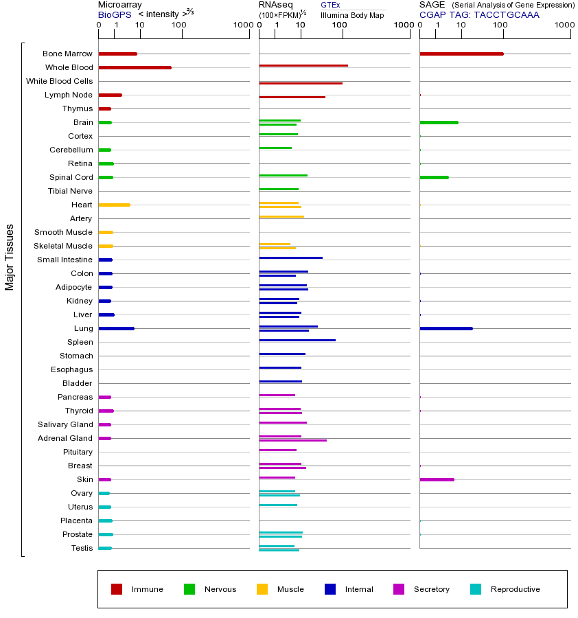 基因在不同组织中的表达图