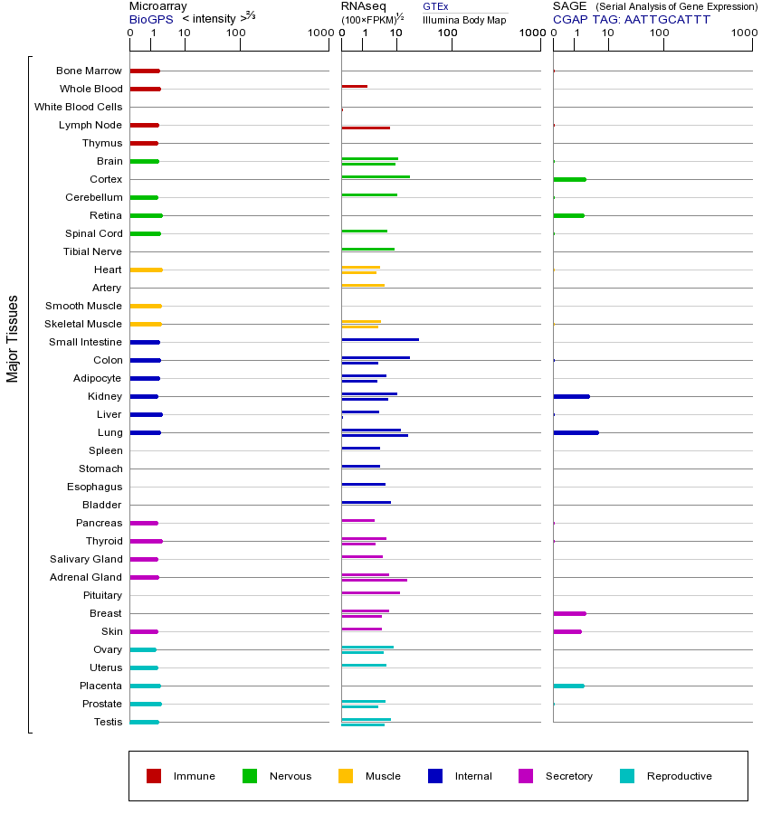 基因在不同组织中的表达图