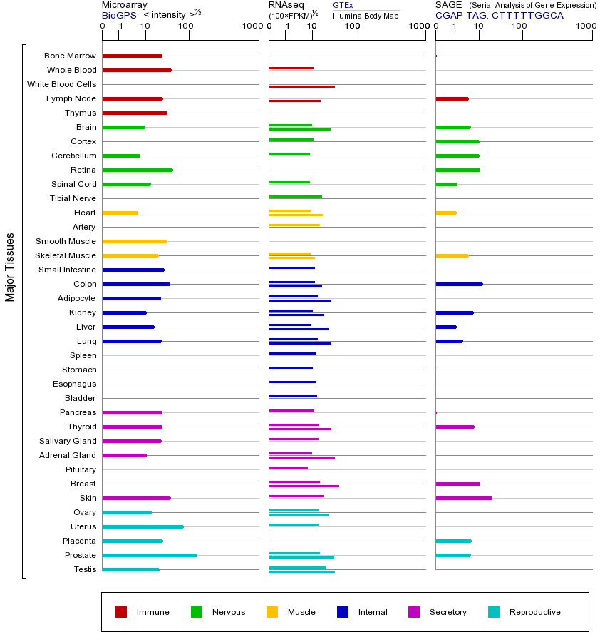 基因在不同组织中的表达图