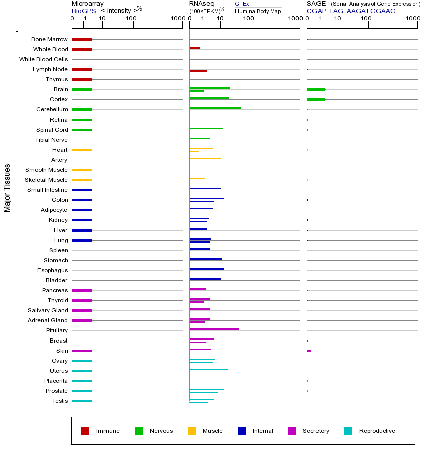 基因在不同组织中的表达图