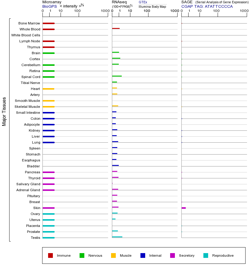 基因在不同组织中的表达图