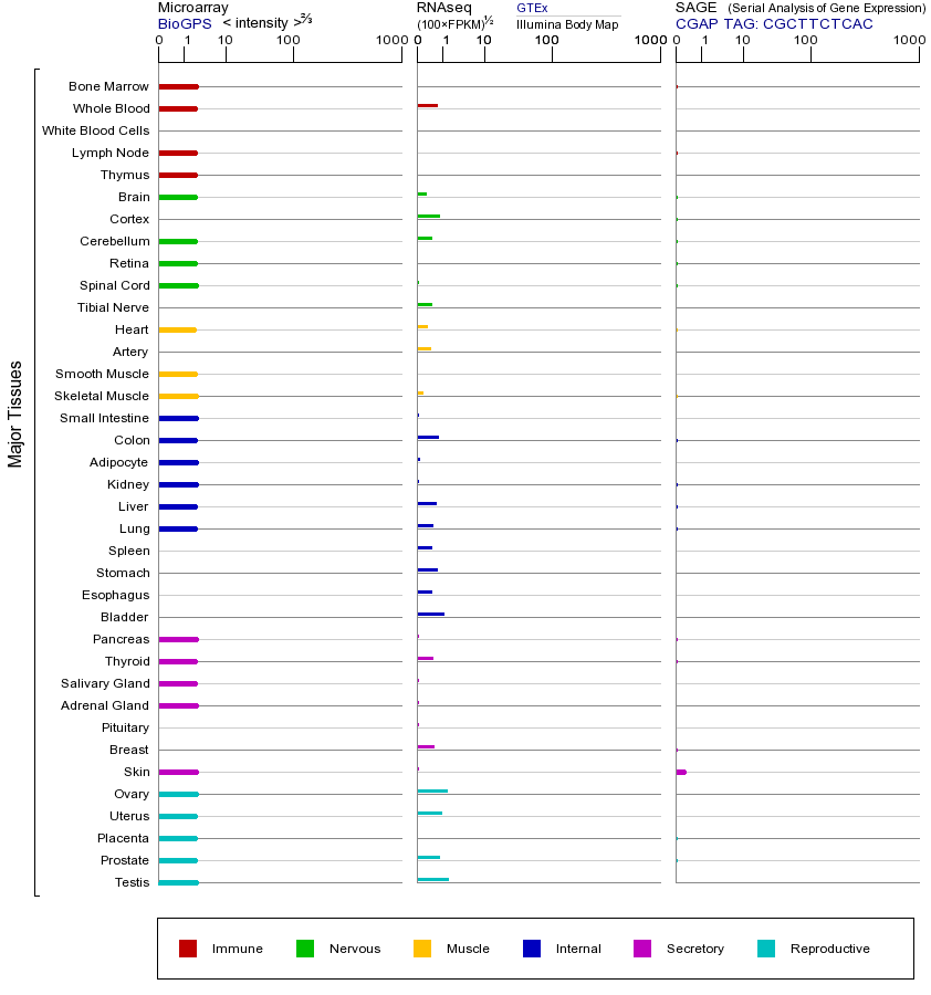 基因在不同组织中的表达图