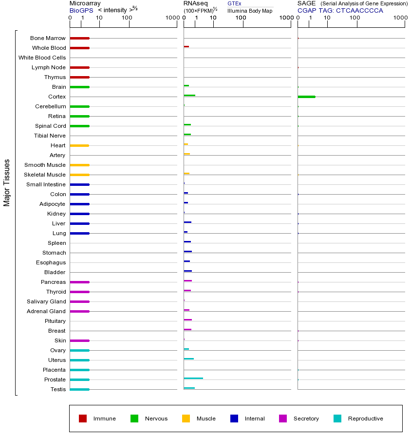 基因在不同组织中的表达图