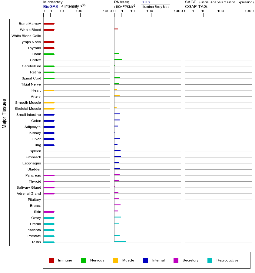 基因在不同组织中的表达图