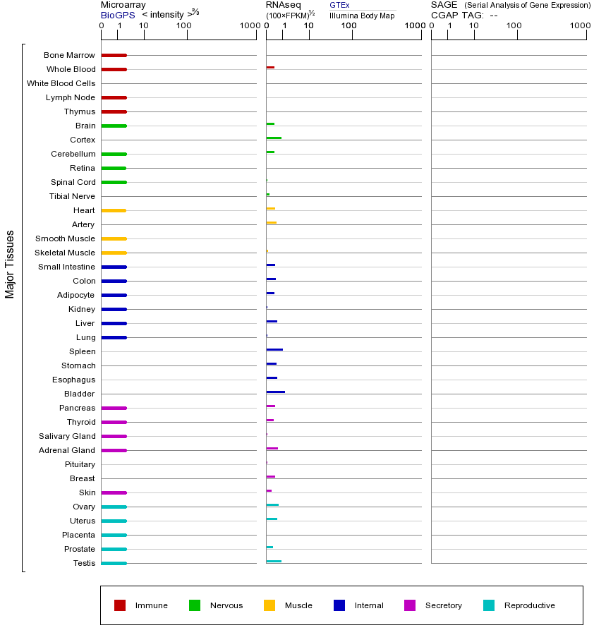 基因在不同组织中的表达图