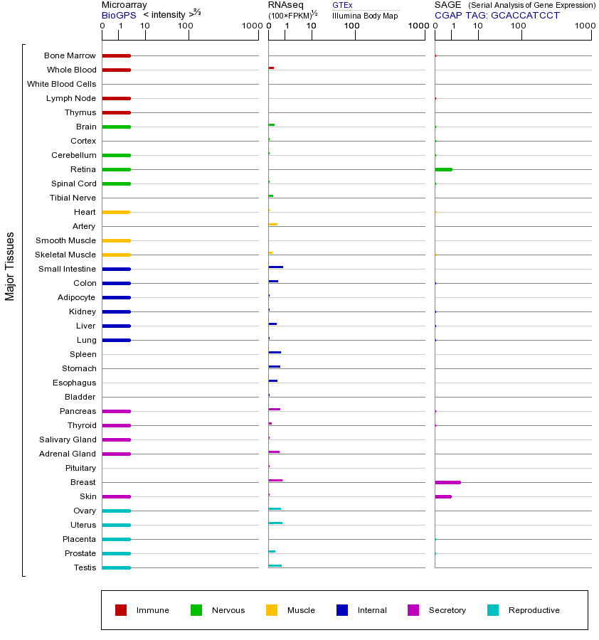 基因在不同组织中的表达图