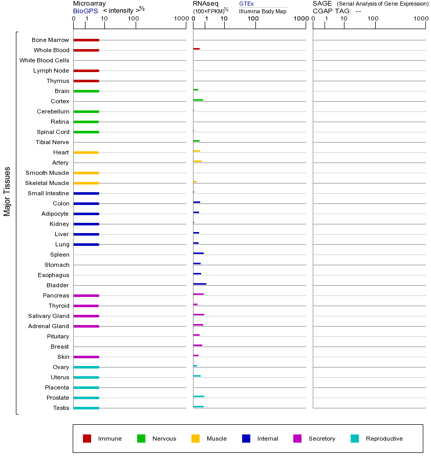 基因在不同组织中的表达图