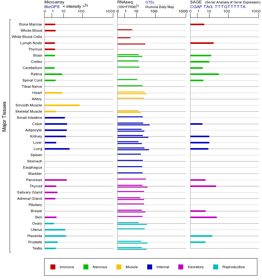 基因在不同组织中的表达图
