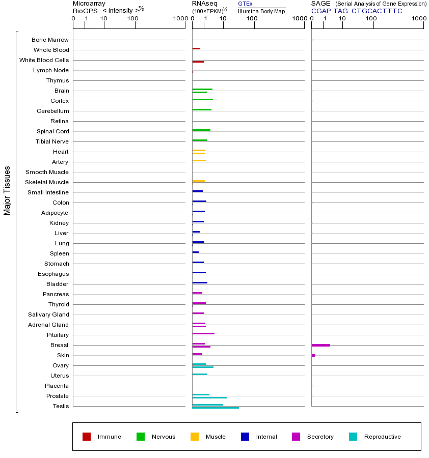 基因在不同组织中的表达图