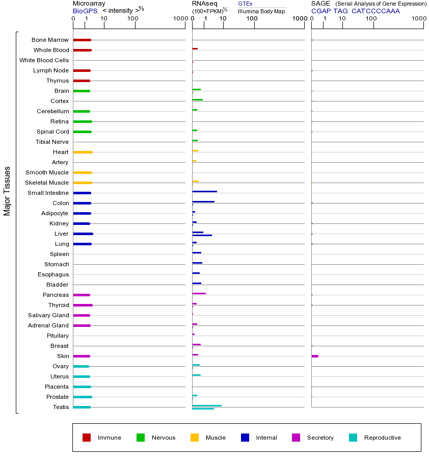 基因在不同组织中的表达图