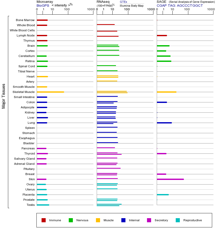 基因在不同组织中的表达图