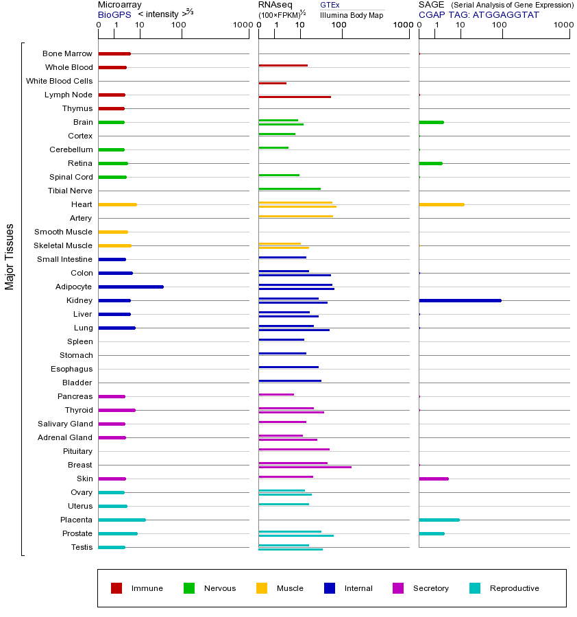 基因在不同组织中的表达图