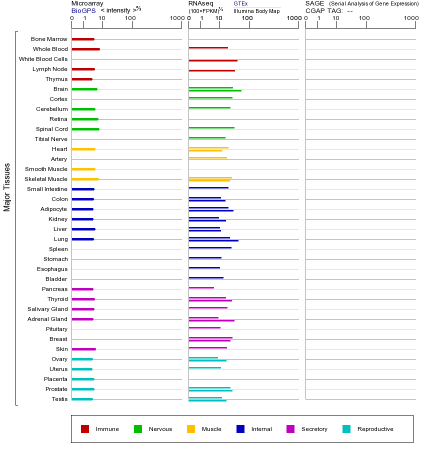基因在不同组织中的表达图
