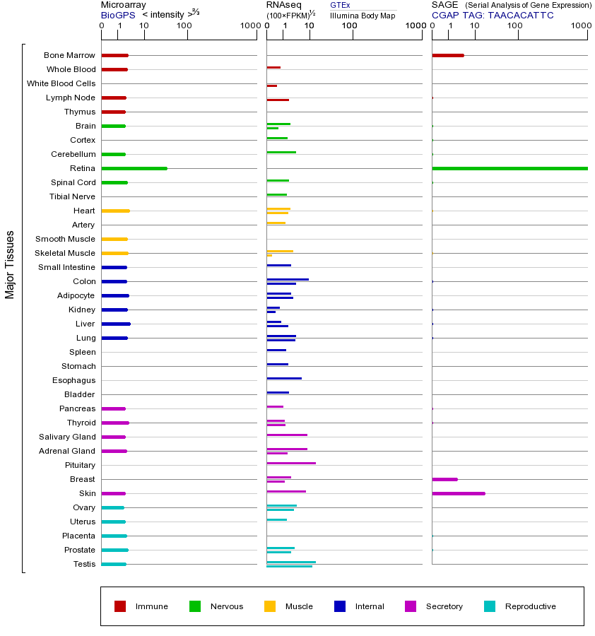 基因在不同组织中的表达图