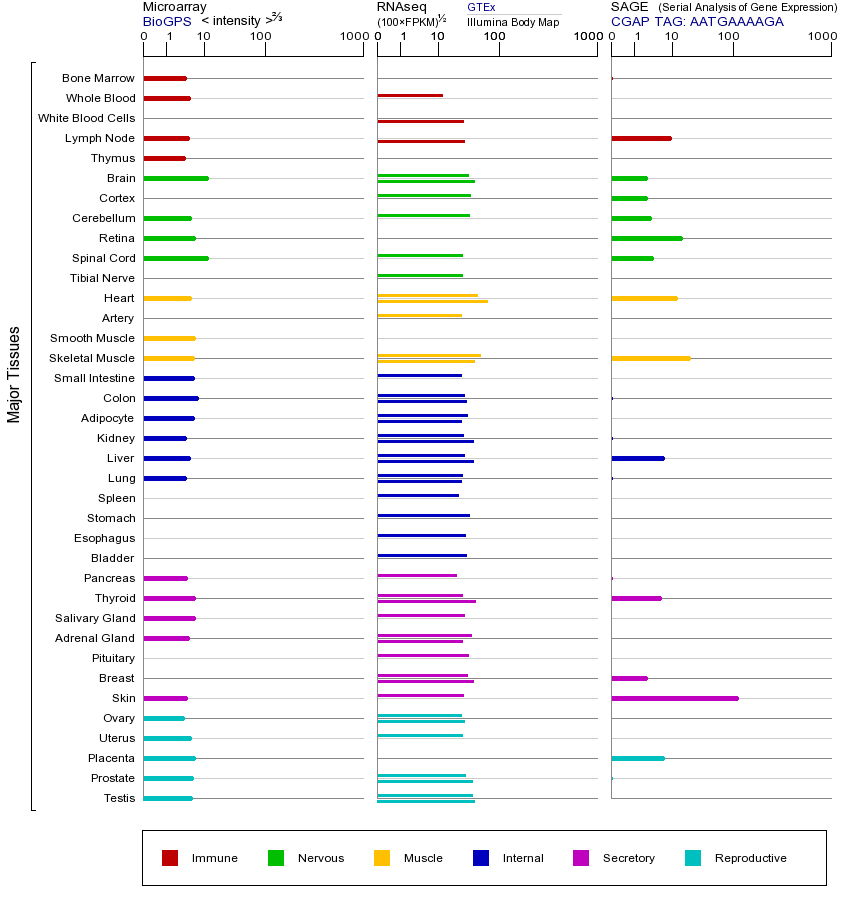 基因在不同组织中的表达图