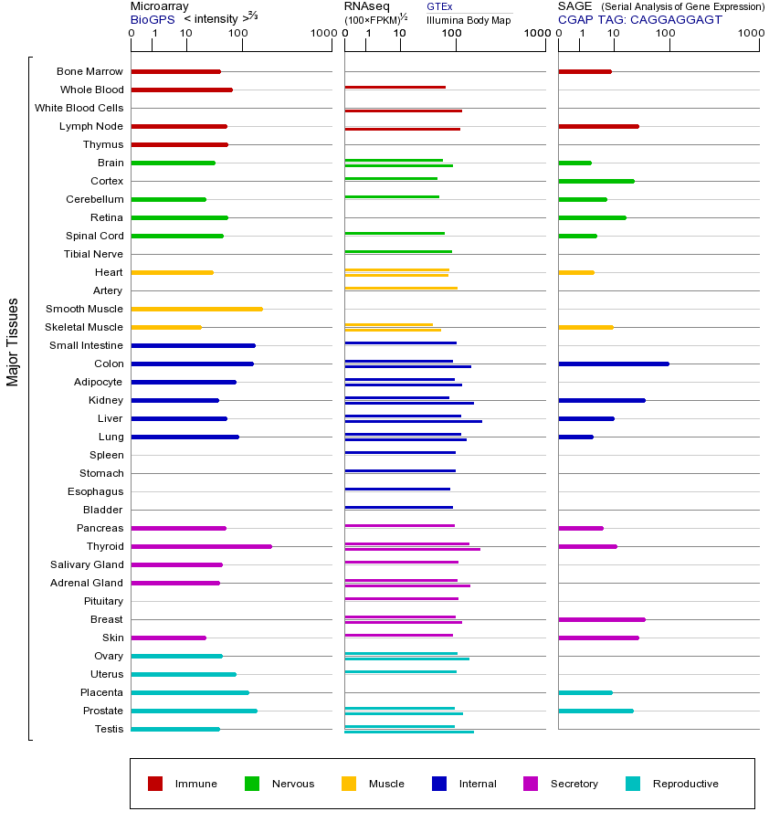 基因在不同组织中的表达图