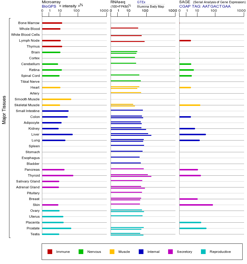 基因在不同组织中的表达图