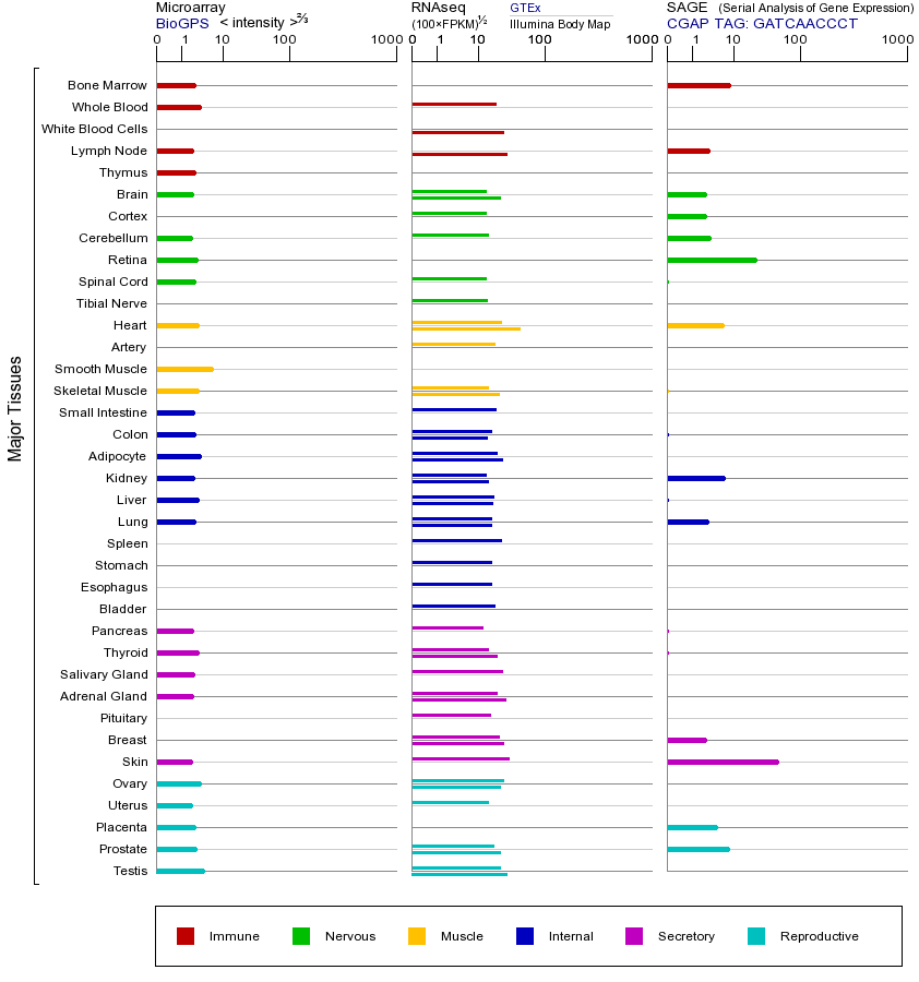 基因在不同组织中的表达图