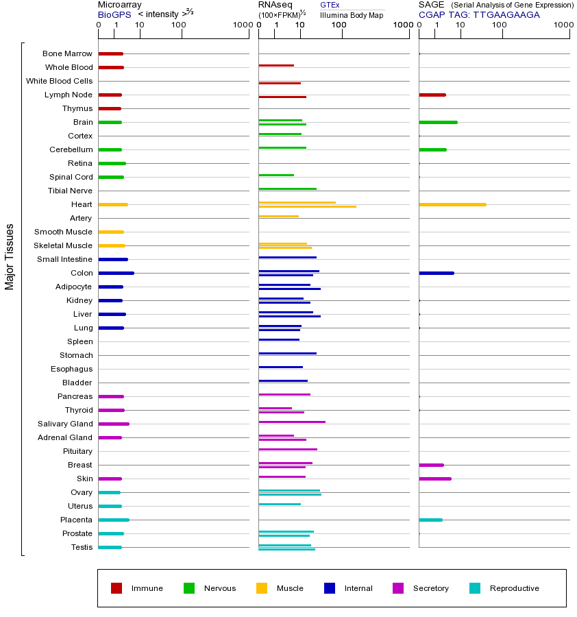 基因在不同组织中的表达图