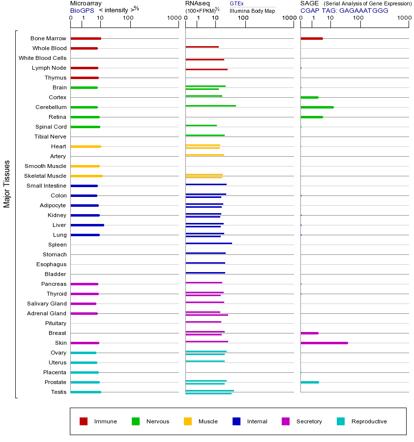 基因在不同组织中的表达图