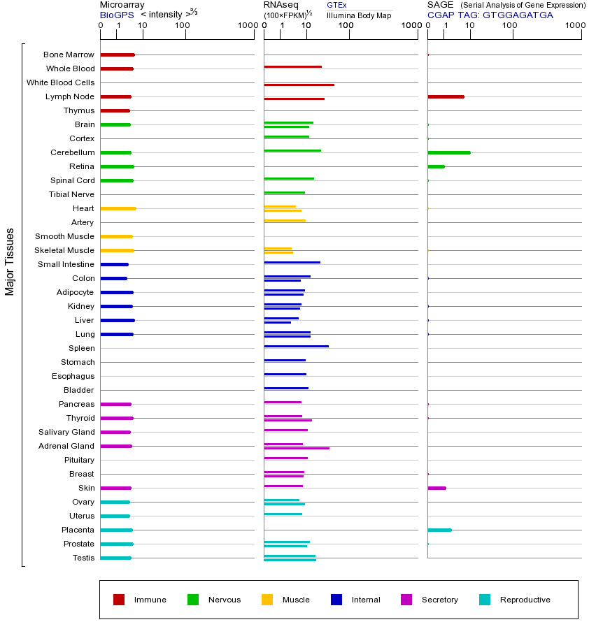 基因在不同组织中的表达图