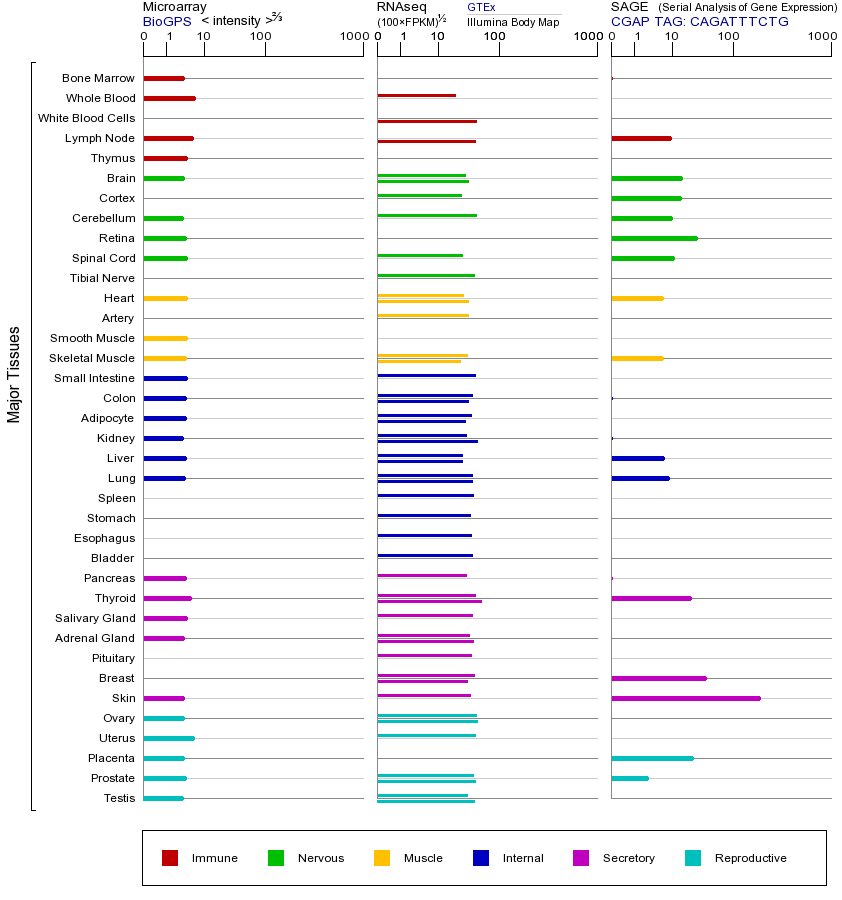 基因在不同组织中的表达图