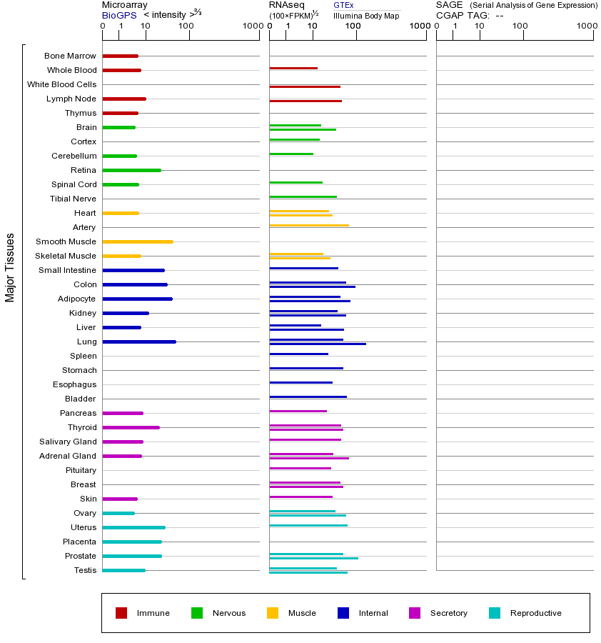 基因在不同组织中的表达图