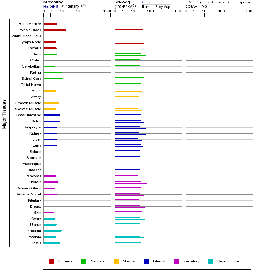 基因在不同组织中的表达图