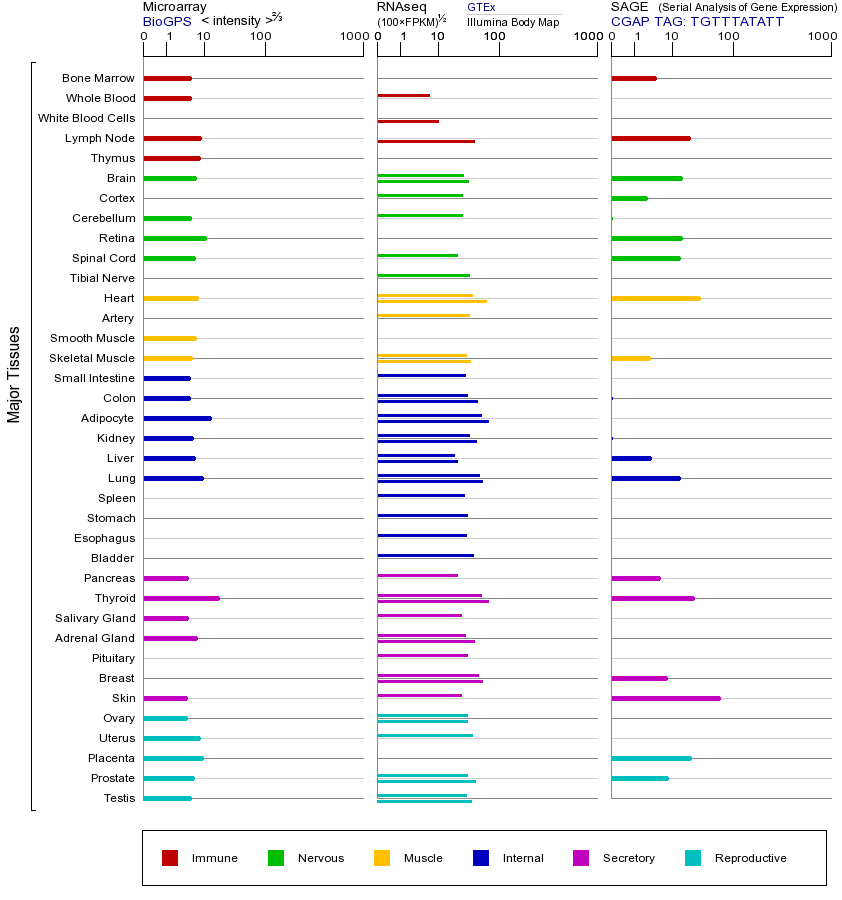 基因在不同组织中的表达图