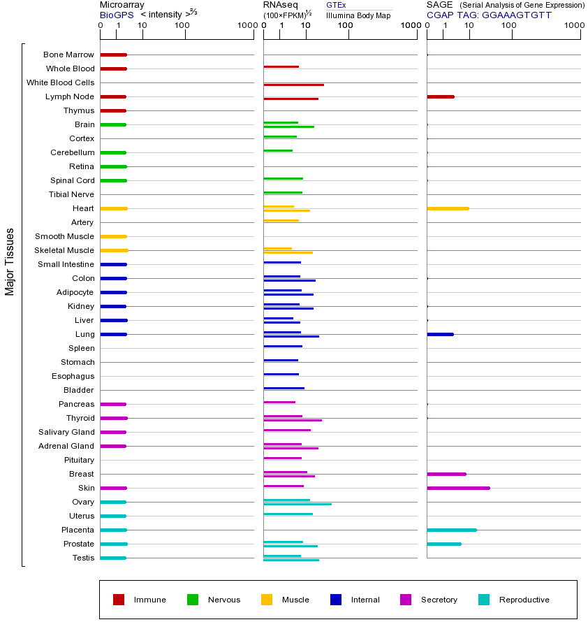 基因在不同组织中的表达图