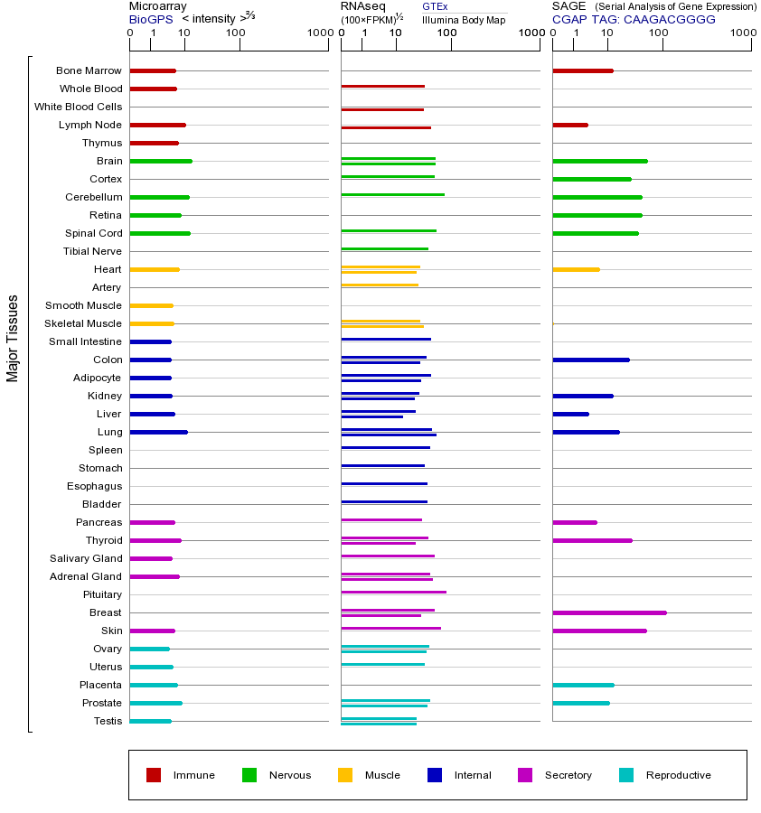 基因在不同组织中的表达图