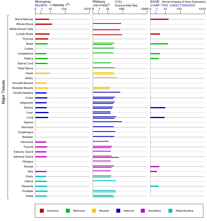 基因在不同组织中的表达图