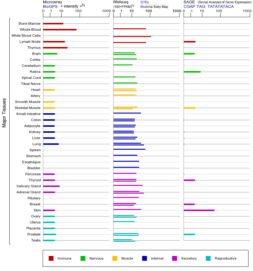 基因在不同组织中的表达图
