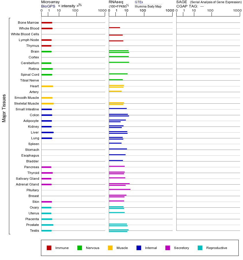 基因在不同组织中的表达图