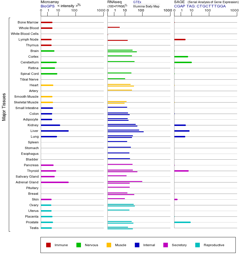 基因在不同组织中的表达图
