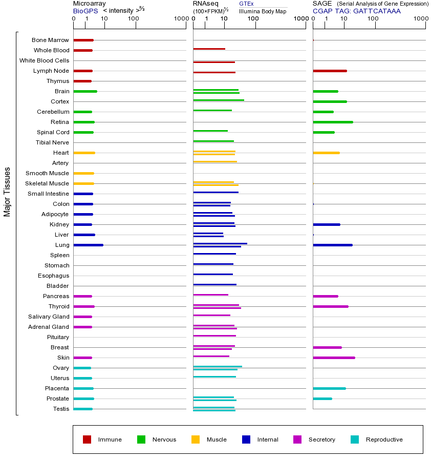 基因在不同组织中的表达图