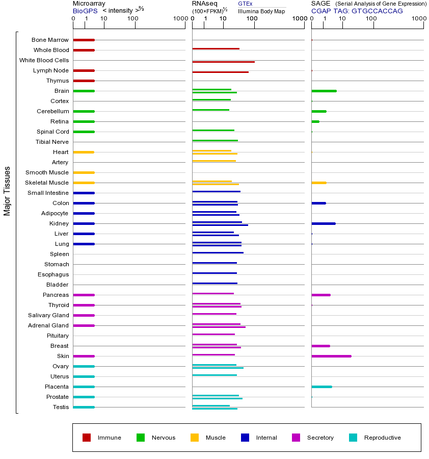 基因在不同组织中的表达图