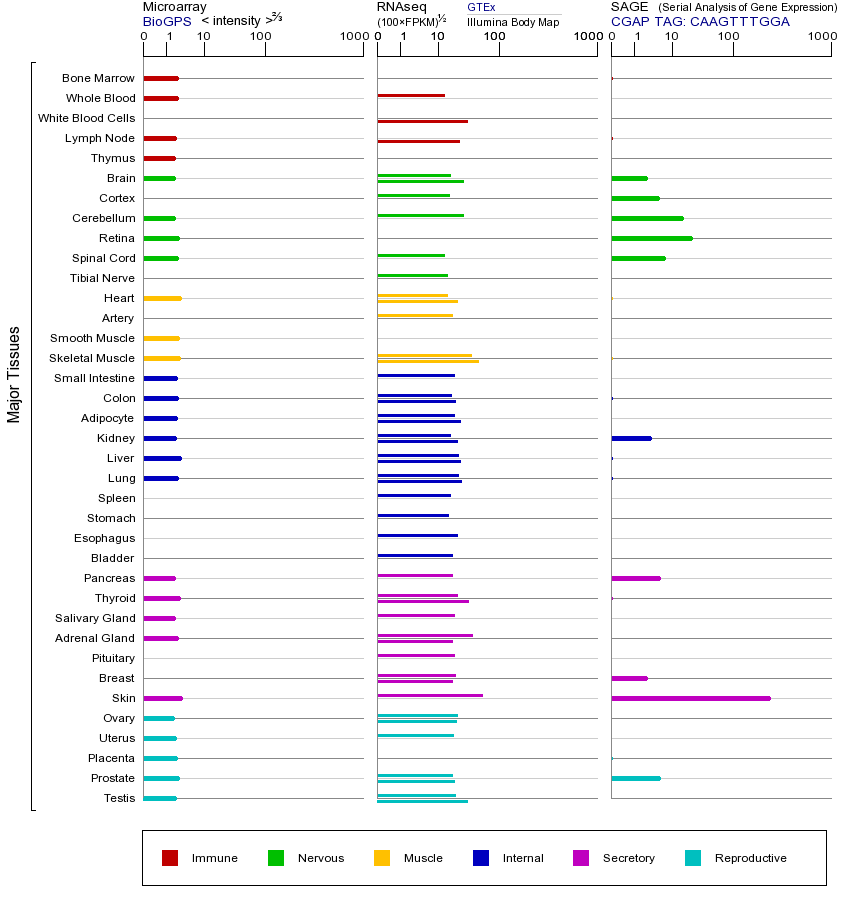 基因在不同组织中的表达图