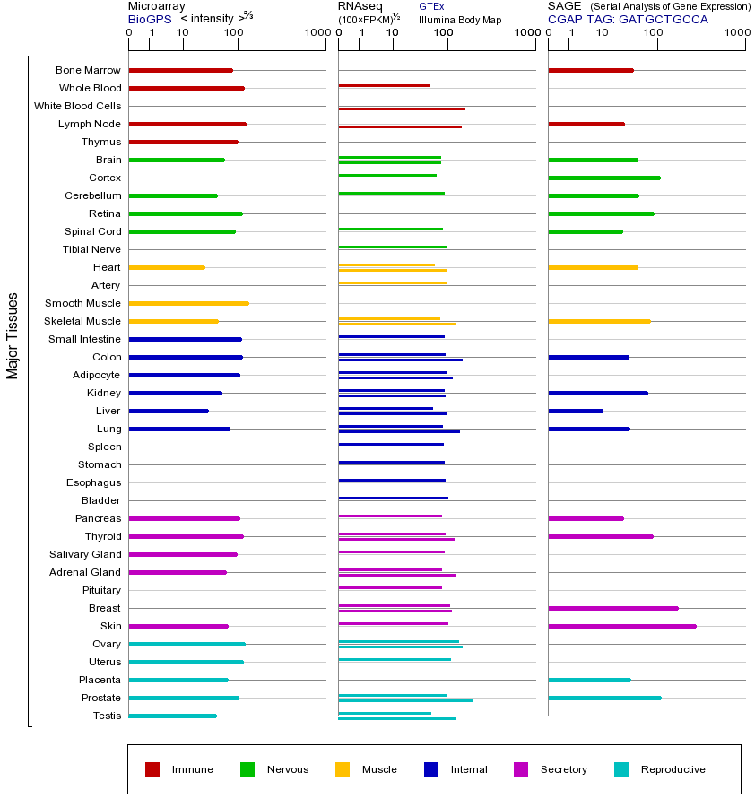 基因在不同组织中的表达图