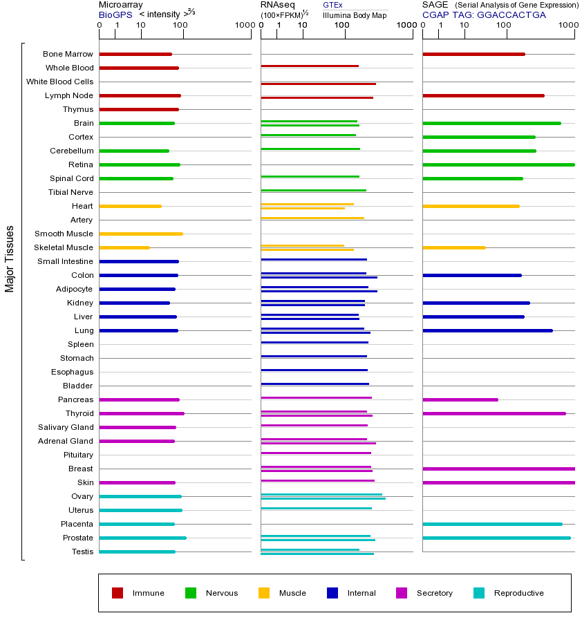 基因在不同组织中的表达图