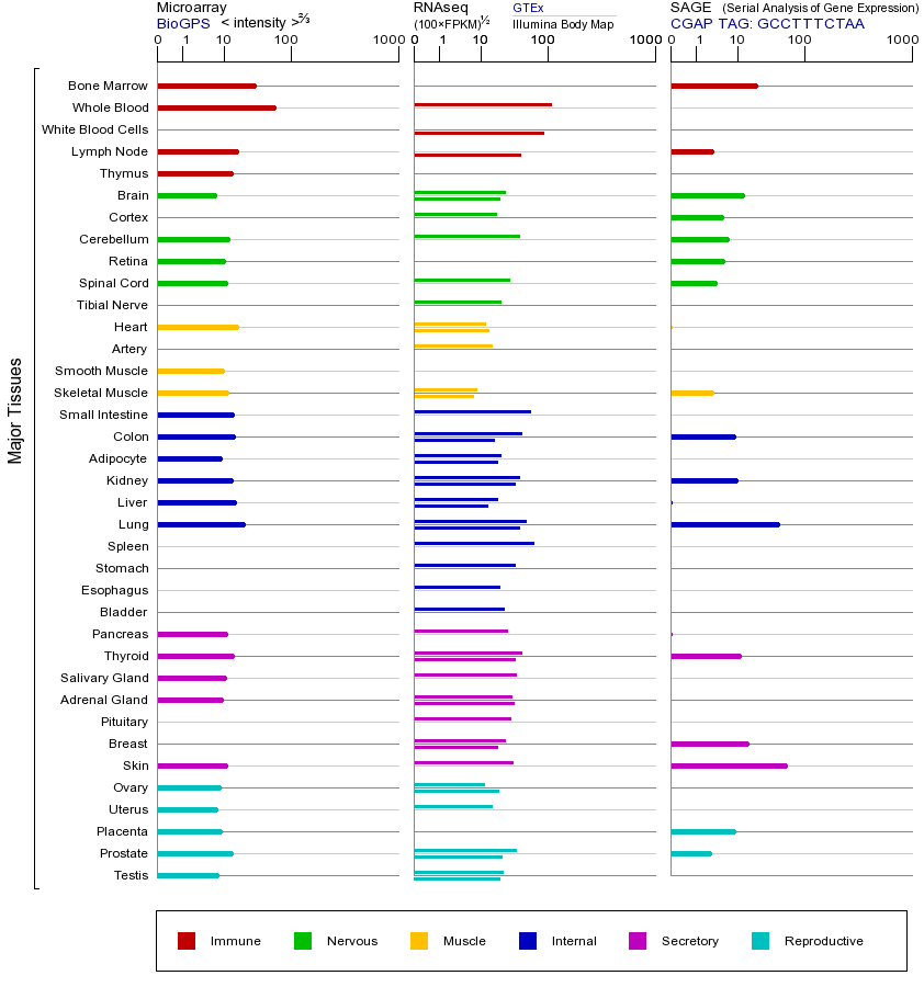 基因在不同组织中的表达图