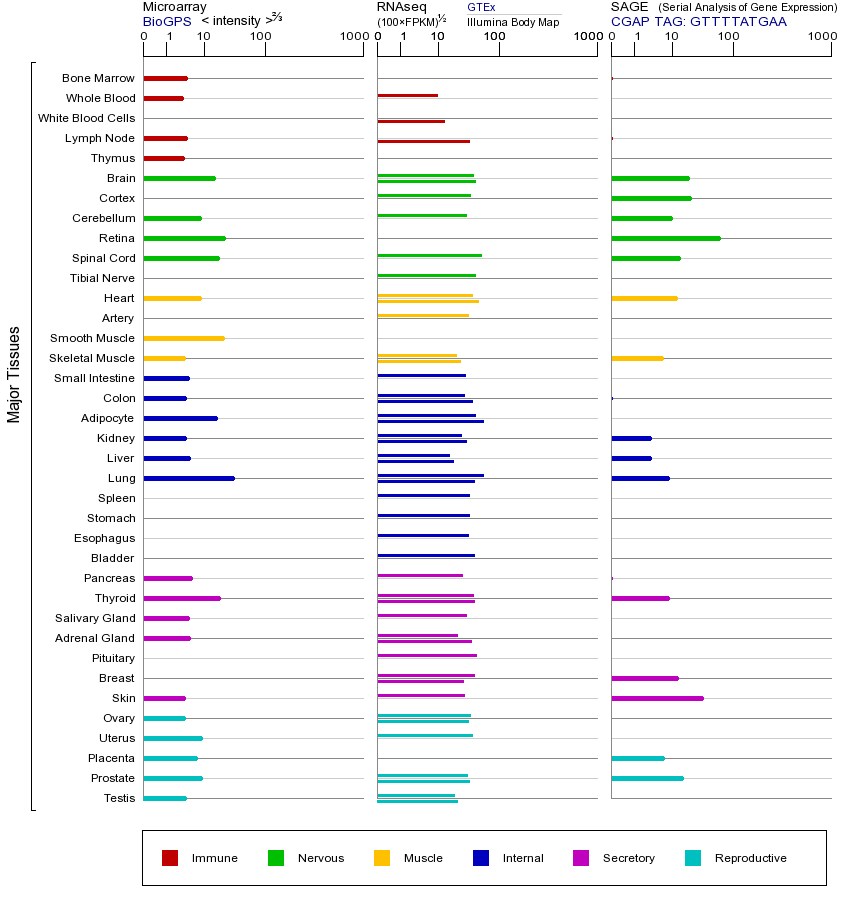 基因在不同组织中的表达图