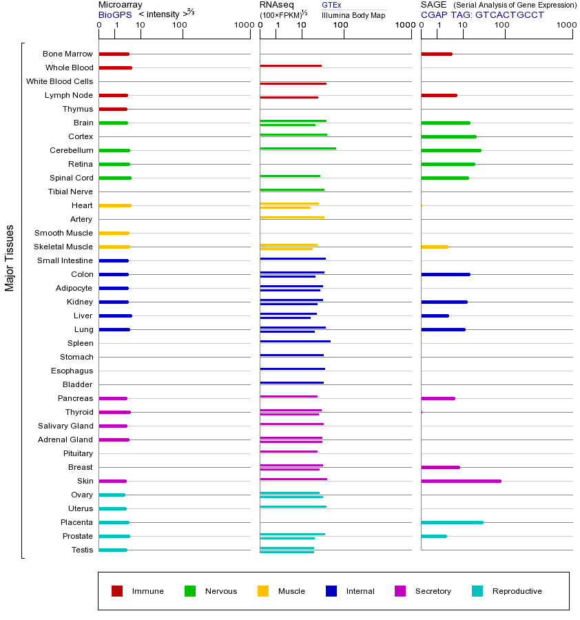 基因在不同组织中的表达图